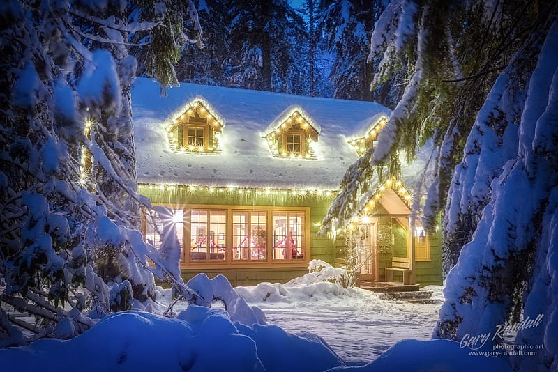 Christmas Cabin in the woods, house, pine, trees, snow, light, HD wallpaper