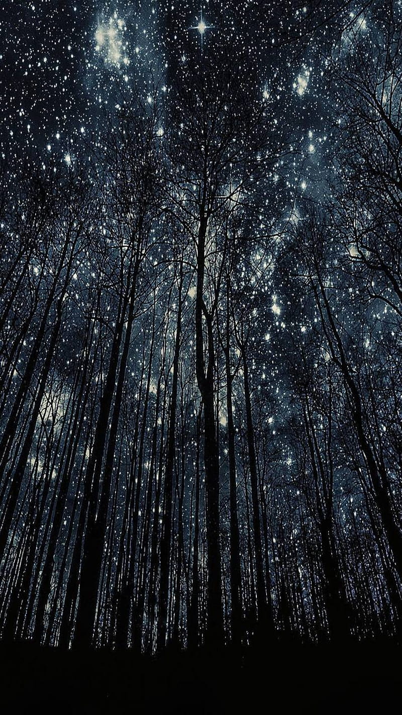 Starry Night, bonito, breathtaking, HD phone wallpaper
