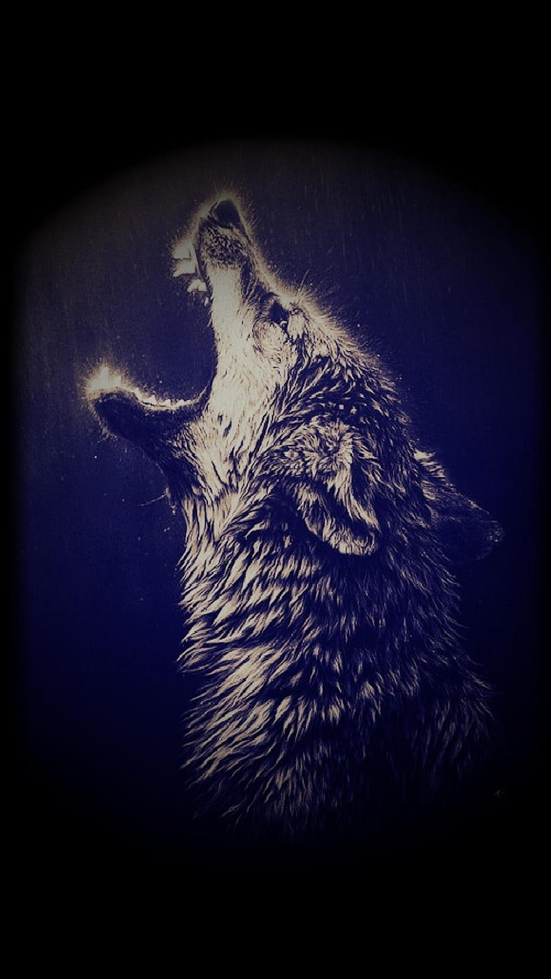 Wolf, fdsf, HD phone wallpaper