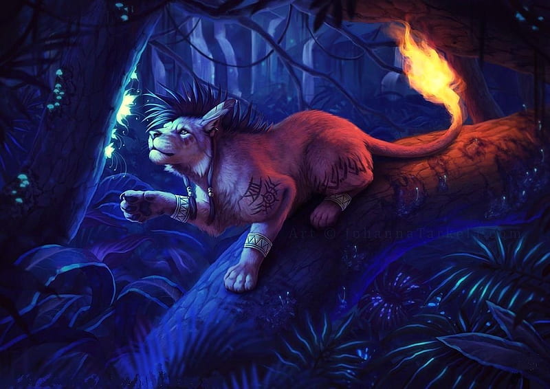 'Mystical cat'....., mystical, forest, magical, cats, animals, night, HD wallpaper