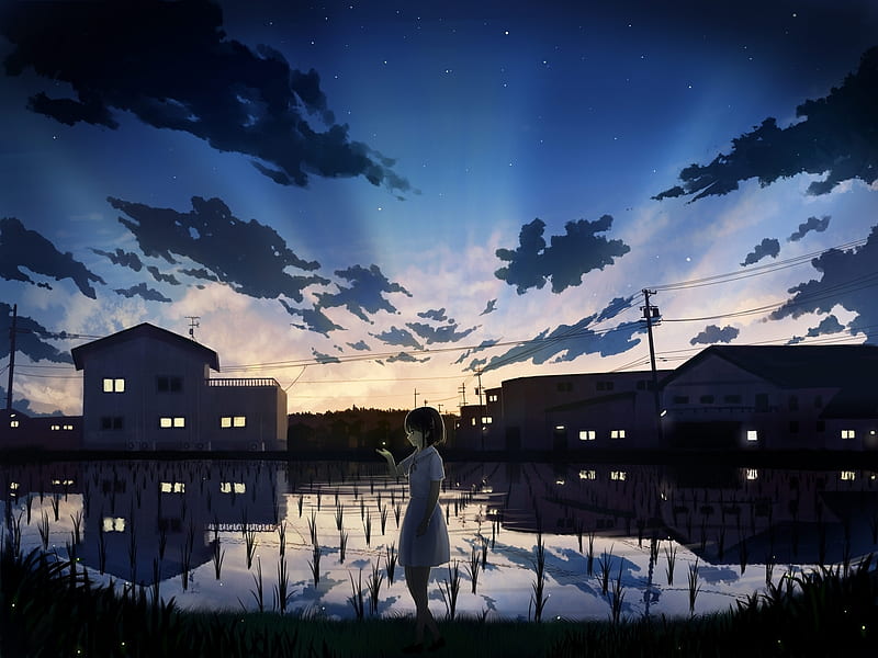 anime girl, field, evening, clouds, profile view, reflection, water, Anime, HD wallpaper