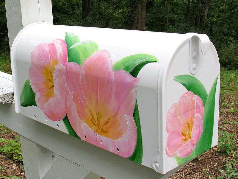Flower mailbox, flower, pretty, mailbox, white, HD wallpaper