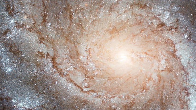 white galaxy background