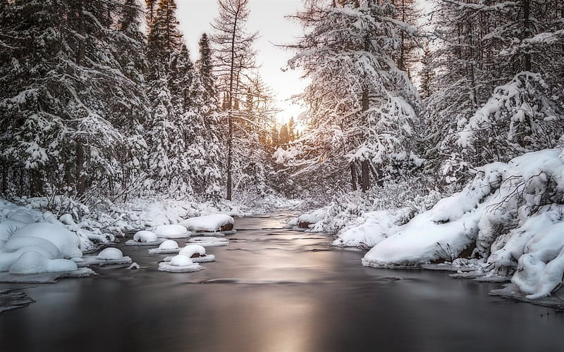 winter, river, forest, snow, sunset, winter landscape, HD wallpaper