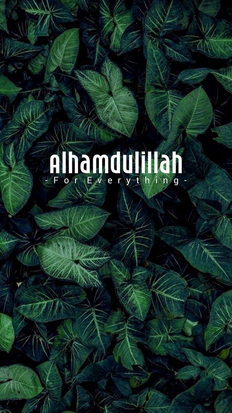 Alhamdulillah , allah, black, cute, islamic, muslim, nature, thanks, tree, HD phone wallpaper