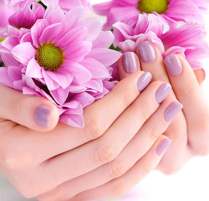 hand, flowers, soft, manicure, HD wallpaper