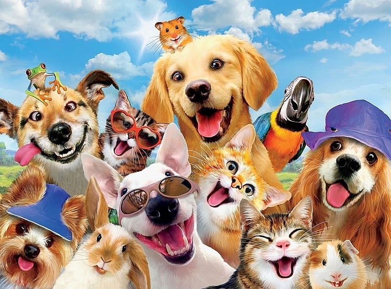 Selfie, funny, cat, pisici, dog, animal, pet, frog, vara, fantasy, summer, HD wallpaper