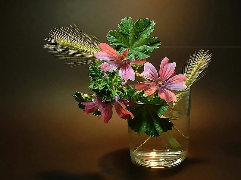 POSY IN PINK, glass, still life, leaves, wheat, plants, flowers, vase, posies, HD wallpaper