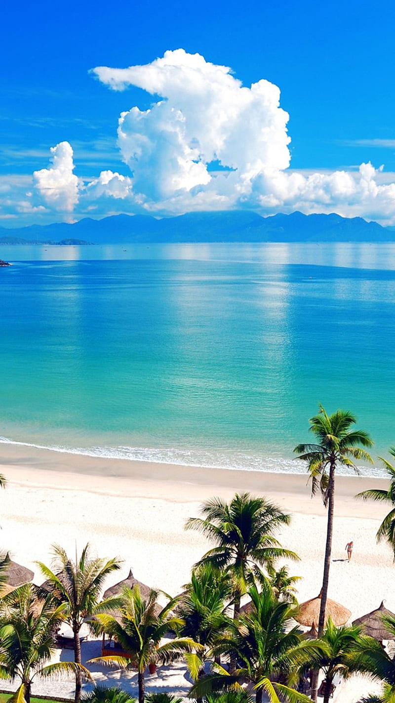 beach, tropical waters, HD phone wallpaper