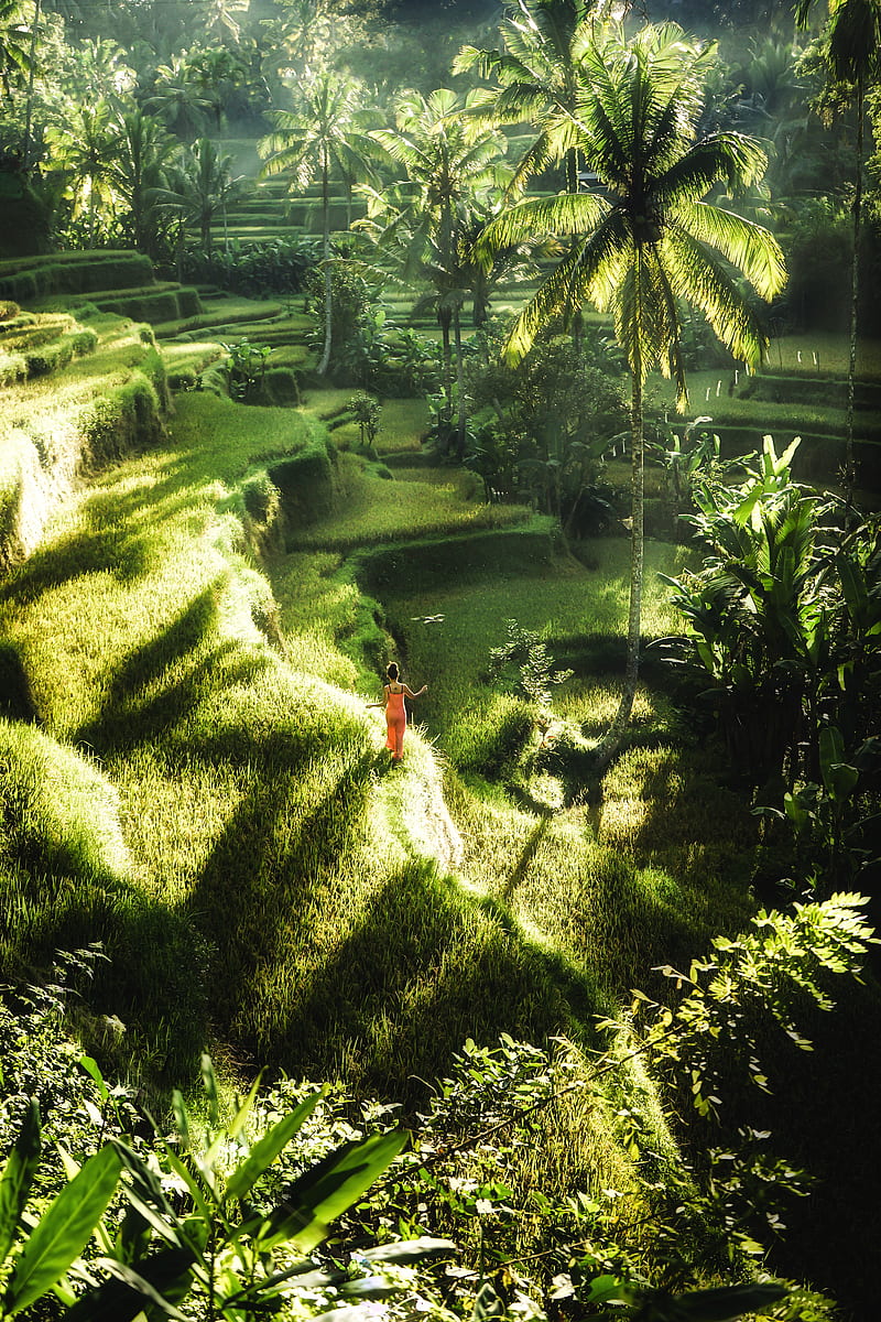 Drone view of distant female in maxi dress standing on lush verdant meadow in magnificent exotic highlands in sunlight, HD phone wallpaper