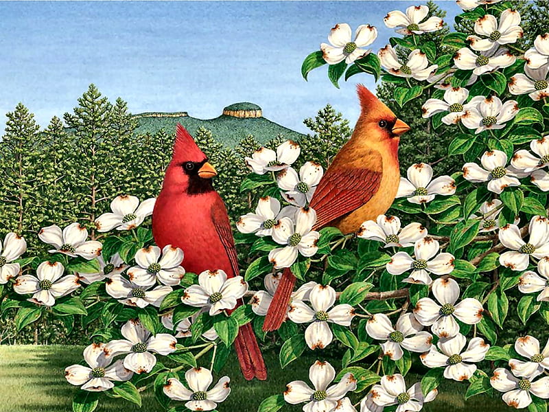 Carolina Calling - Birds F, art, dogwood blooms, songbirds, bonito, illustration, artwork, animal, cardinals, bird, avian, painting, wide screen, wildlife, nature, HD wallpaper