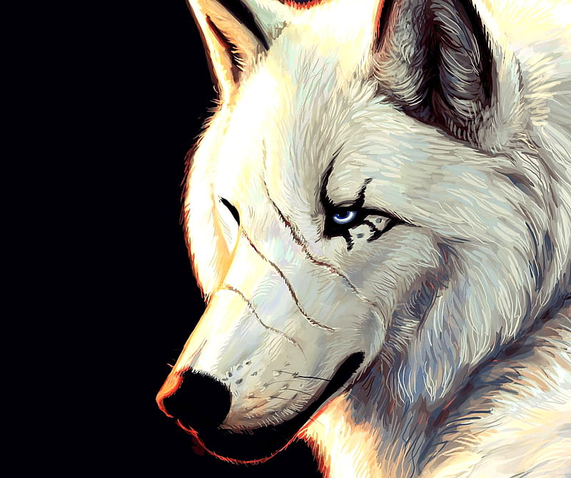 White Wolf, animals, art, white, wolf, HD wallpaper