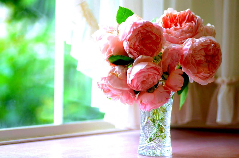 CAMELLIA FLOWERS DISPLAY, vase, Camellias, flowers, decoration, HD ...