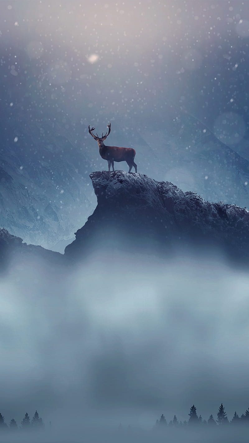 Christmas Deer Snow, christmas deer snowfall, real, HD phone wallpaper
