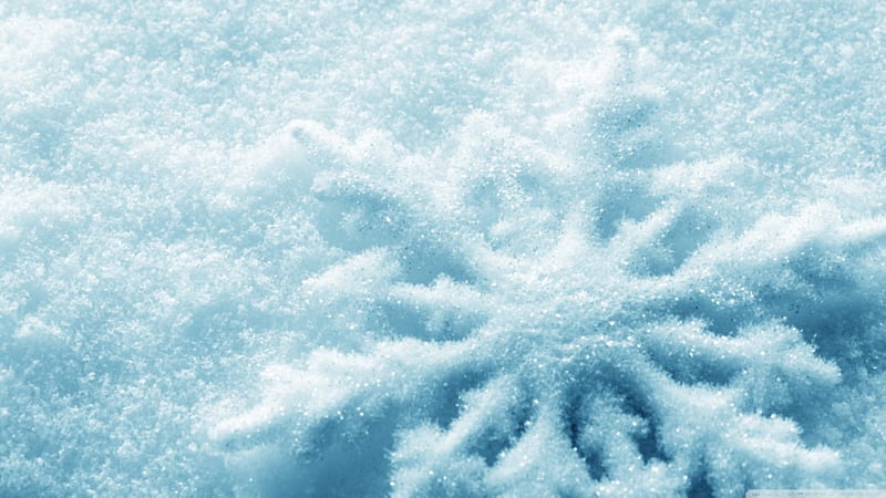 Snowflake, abstract, winter, cold, graphy, ice, nature, white, frozen,  blue, HD wallpaper | Peakpx