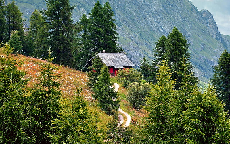 Alpine hut, Alps, hut, house, parh, cottage, bonito, valley, alpine, mountain, nice, majestic, amazing, hills, lovely, view, greenery, trees, slope, nature, HD wallpaper