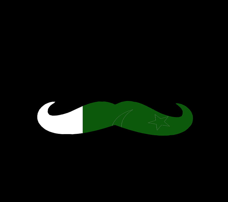 Pakistan, beared, black, bleed green, borders, country, flag, flowers, green, love, moustache, patriots, HD wallpaper