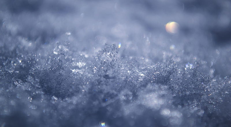 Snow, graphy macro, nature, abstract, cold, winter, snowflake, HD wallpaper