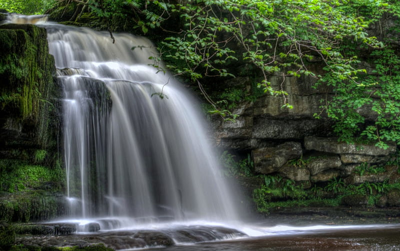 West Burton Falls, North Yorkshire, England, waterfall, nature, trees, england, HD wallpaper