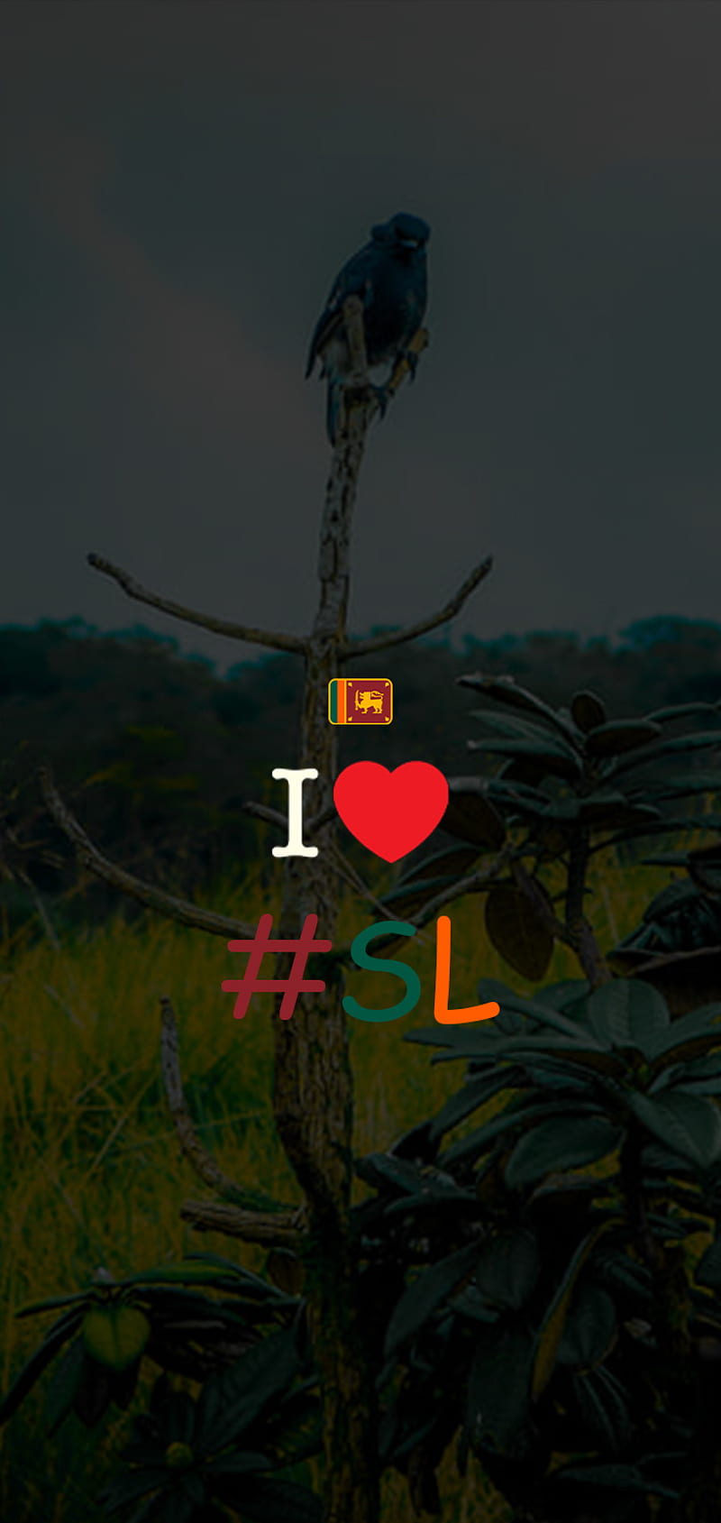 Sri Lankan lover, love, country, sl, nature, sri lanka, HD phone