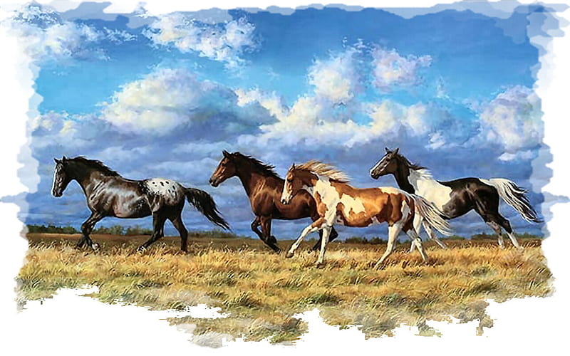 Running - Horses F2, art, chris cummings, equine, cummings, horse, artwork, animal, painting, wide screen, HD wallpaper