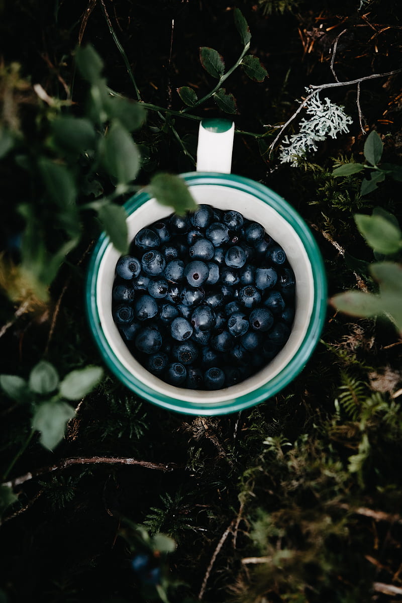 blueberry, berry, cup, leaves, grass, HD phone wallpaper