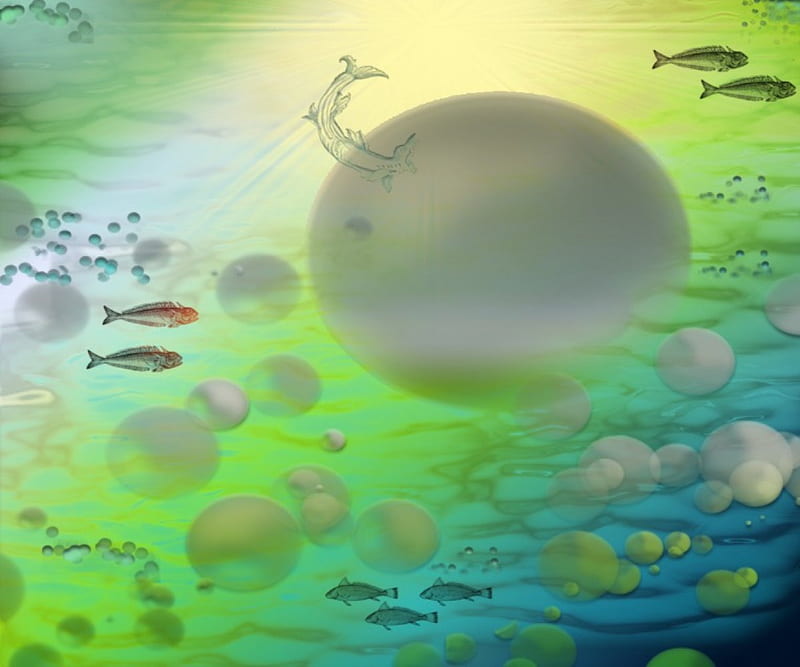 Underwater Fantasy Bubbles, bubbles, underwater, fantasy, fish, HD ...