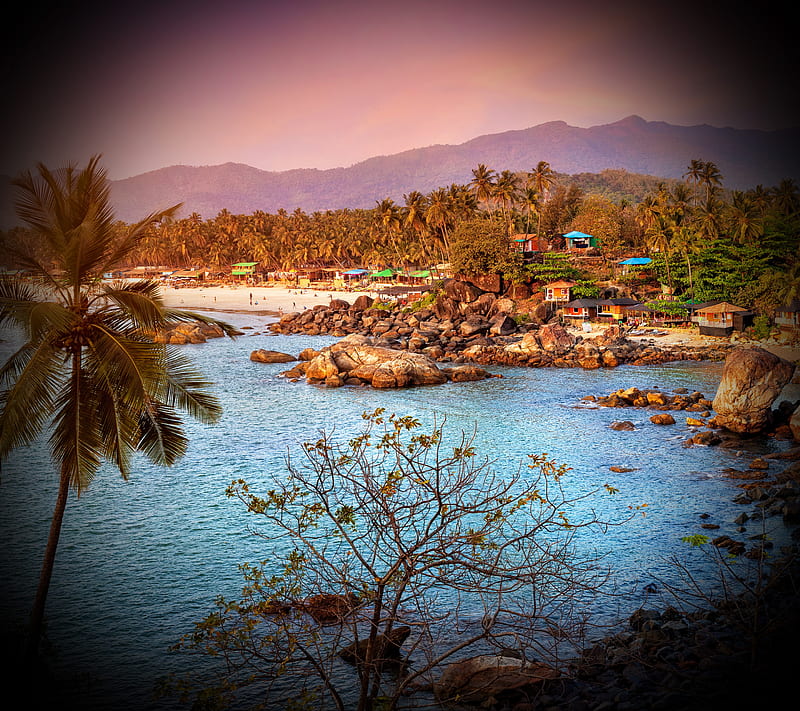 Goa Beach, beach, goa, india, nature, palm, rocks, water, HD wallpaper |  Peakpx