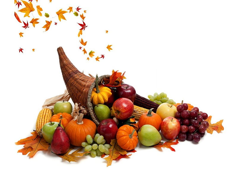 Coricopia, apple, abundance, harvest, food, cornicopia, thanksgiving, fruit, leaves, pumpkins, HD wallpaper