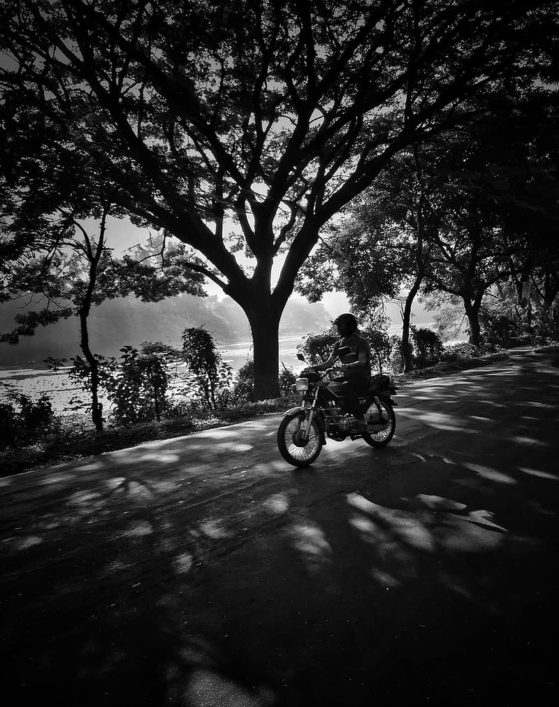 Bike ride, bike, black, road, shadow, white, HD phone wallpaper | Peakpx