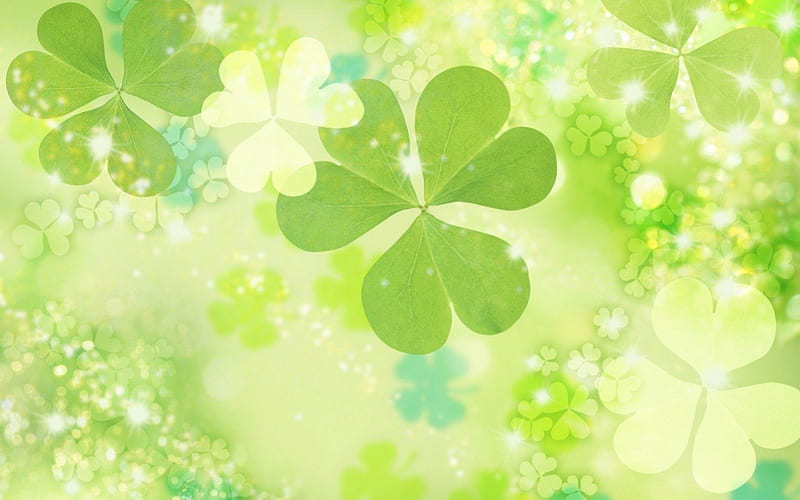 Lucky Clover, green, ireland, irish, leaf, leaves, nature