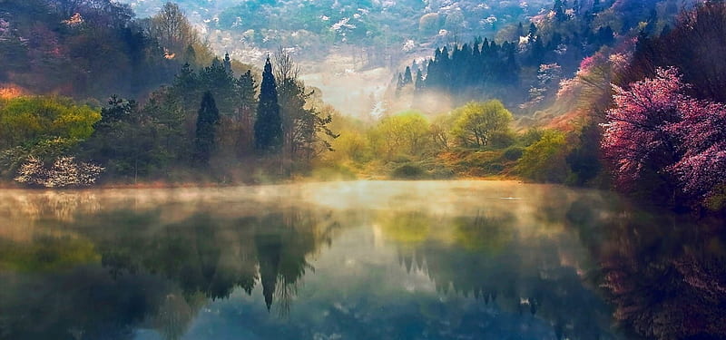 Superb Memory Of Spring, forest, yello, bonito, Korea, magic, spring, dawning, lake, green, mountains, morning mist, sunrise, reflection, pink, light, blue, HD wallpaper
