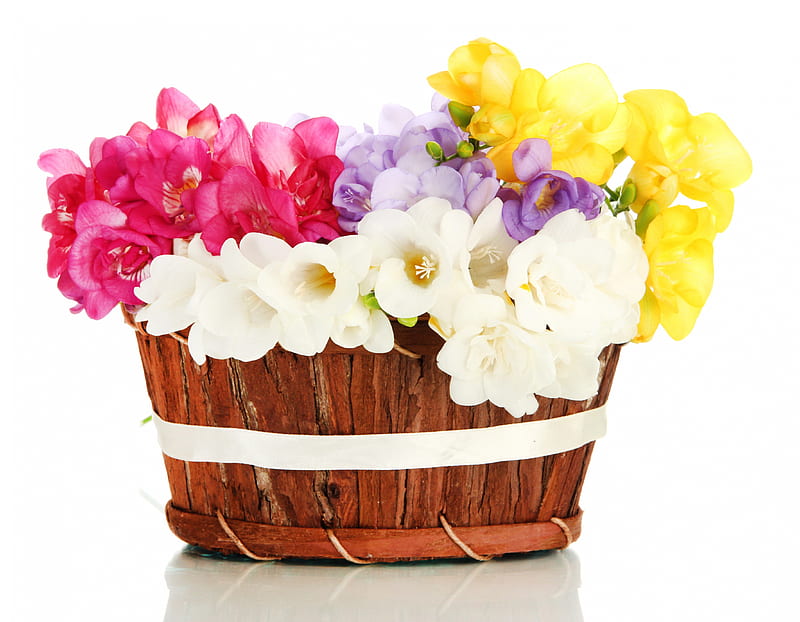 ✿ Spring Delight ✿, delight, yellow, scent, sias, spring, purple, basket, white, pink, HD wallpaper