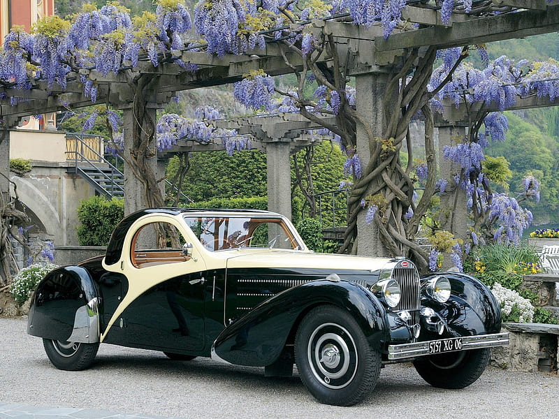 1936 Bugatti Type 57 Atalante, type, 1936, atalante, roll, coupe, antique, bugatti, back, 36, car, classic, 57, vintage, HD wallpaper