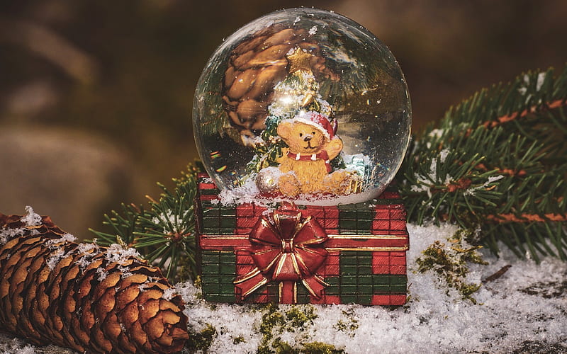 Bear in a glass ball, Christmas, New Year, decoration, cones, glass ball, winter teams, HD wallpaper