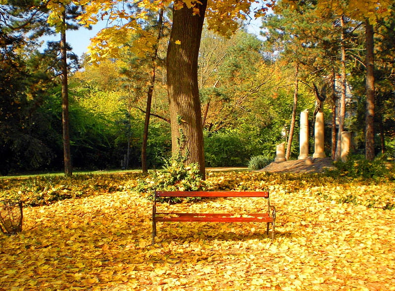 Rest in autumn park, fall, autumn, falling, bonito, foliage, leaves, nice, season, rest, quiet, calmness, lovely, seat, relax, bench, park, trees, serenity, nature, branches, HD wallpaper