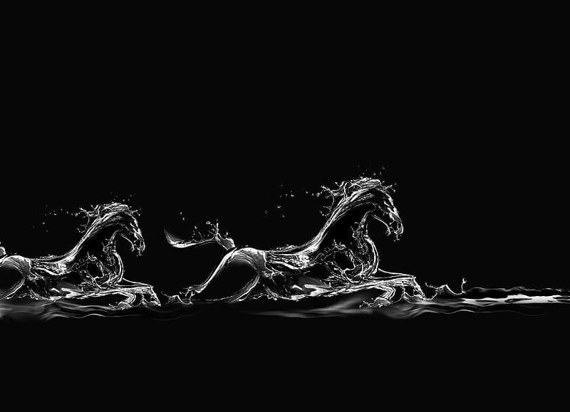 Two Black Water Horses Running, water, black, hop, white, horses, 2, HD wallpaper