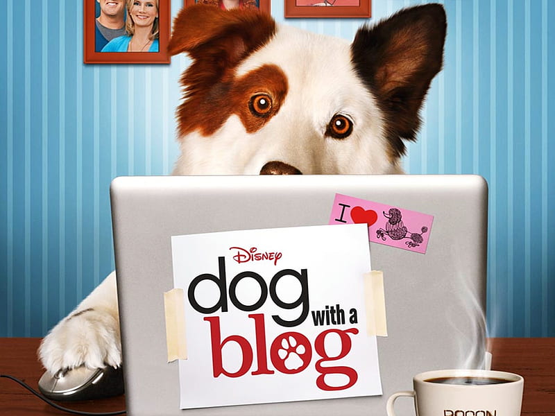 Dog with a Blog (TV Series 2012–2015), poster, dog with blog, caine, tv series, funny, laptop, animal, blue, HD wallpaper