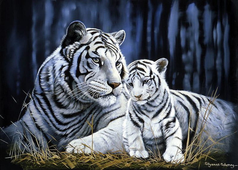 White Tigers, painting, cub, cats, mom, HD wallpaper