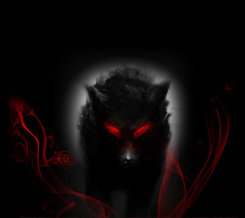 Dark wolf, HD wallpaper | Peakpx