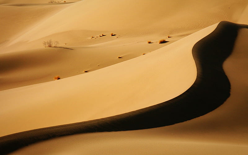 desert dune-landscape, HD wallpaper