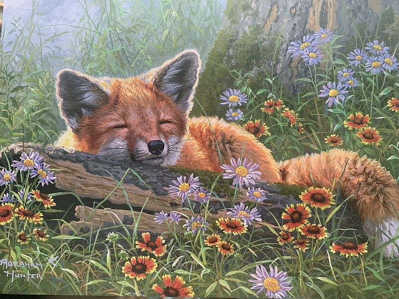 Sleeping fox by Abraham Hunter, fox, summer, nap, animal, art, sleep, abraham hunter, vara, vulpe, painting, pictura, HD wallpaper