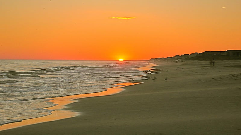 Orange Beach Coastline, beach, beaches, ocean, coastline, sunrise, sunset, coast, HD wallpaper