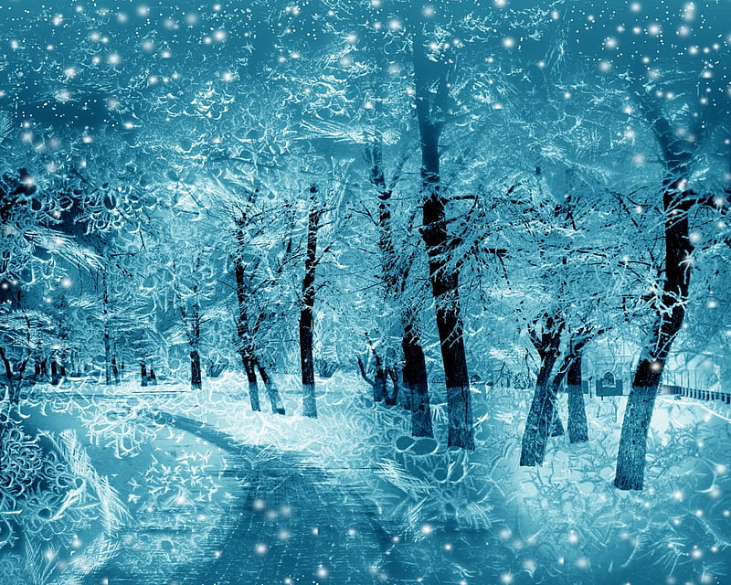 Winter, tree, snow, snowflakes, HD wallpaper