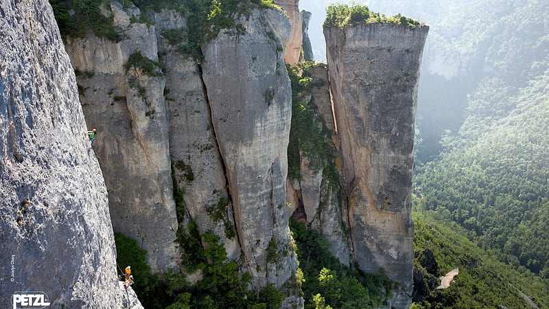 beautiful cliff climbing, climbers, eagle, forest, cliffs, HD wallpaper