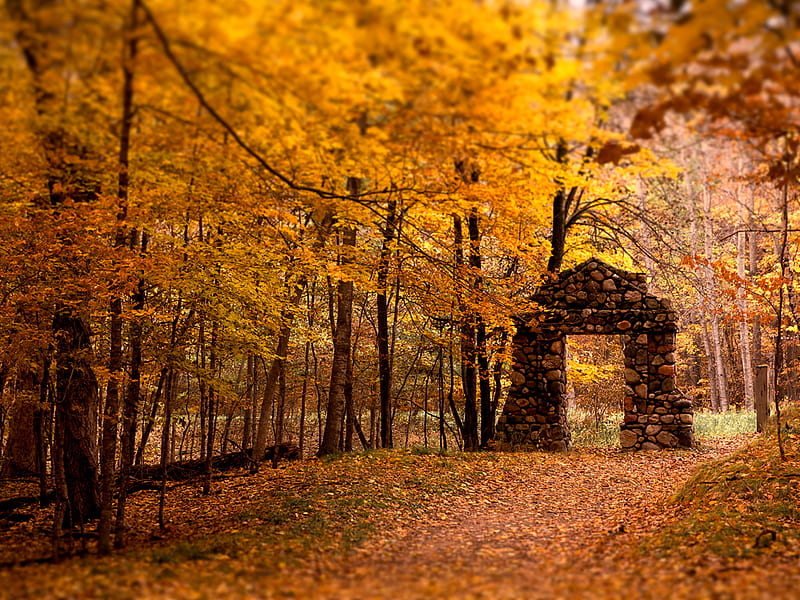 Old stone, forest, fall, autumn, leaves, stone, nature, old, HD wallpaper |  Peakpx