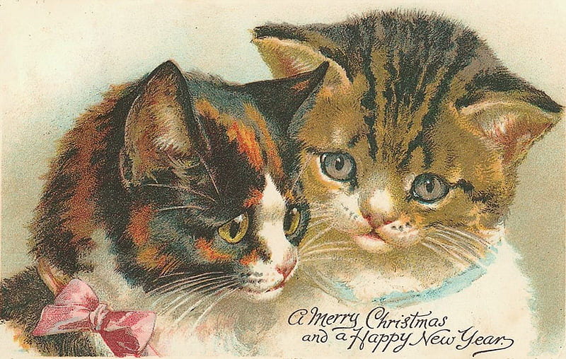 Vintage Christmas, postcard, christmas, cats, vintage, HD wallpaper