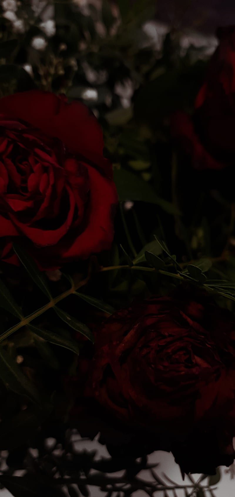 Dark love, black, black rose, bouquet, dark green, dark rose, red, red rose,  HD phone wallpaper | Peakpx