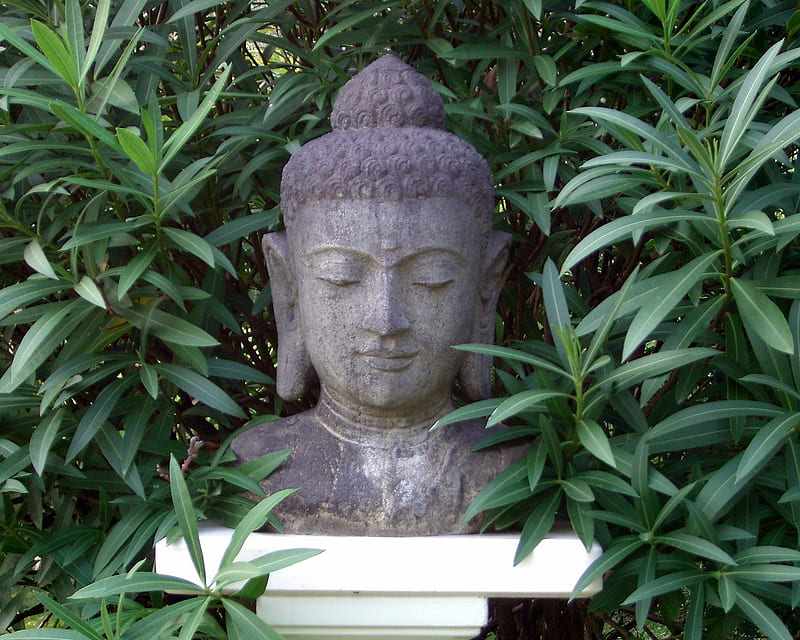 Stone Buddha, religious, religion, shrubs, teacher, dharma, leaves, calm, plants, peaceful, garden, meditation, HD wallpaper