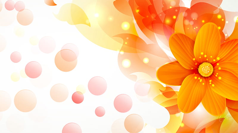 Vector Floral, orange, spring, abstract, bokeh, bright, summer, flowers, Firefox Persona theme, light, vector, HD wallpaper